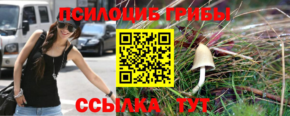 Тверь  Псилоцибиновые грибы Magic Shrooms  хочу наркоту  Вход с VPN 